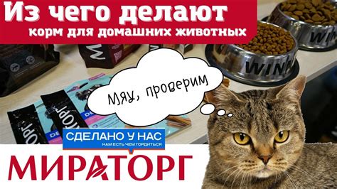 Как торты могут быть использованы в производстве корма для домашних животных?