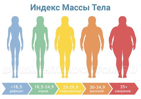 Как узнать вес тела массой 15 кг?