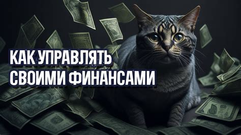 Как управлять своими финансами и достигнуть финансовой свободы