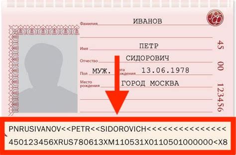 Как читать личный код в паспорте?