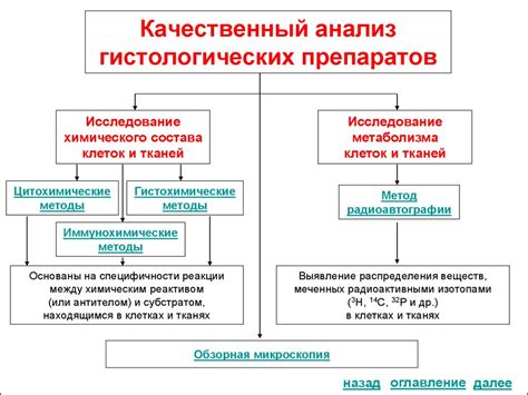 Категория сложности 5 в гистологии