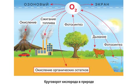 Кислород и его запах в природе