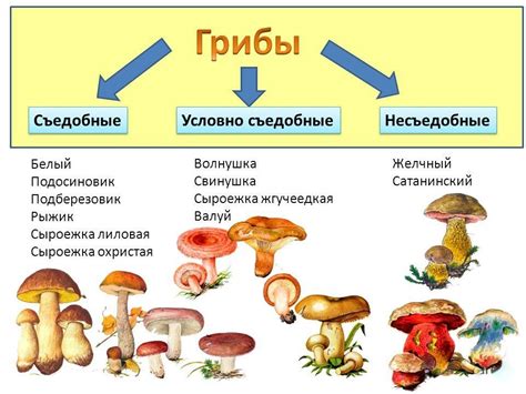 Классификация грибов