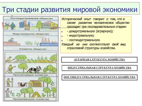 Классификация отраслей экономики