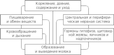 Ключ, который изменяет свою форму: как изменчивость символизирует перемену в жизни?