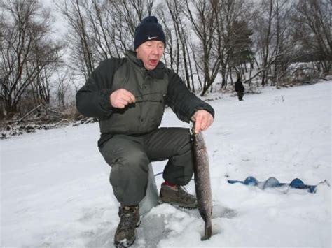 Ключевые символы: разгадка сновидения с пойманной щукой