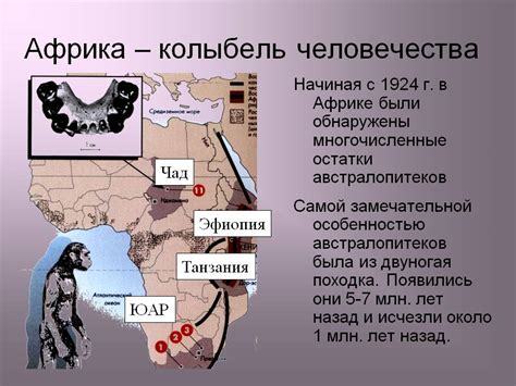 Ключевые факты об Африке