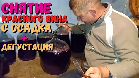 Когда делается первое снятие вина