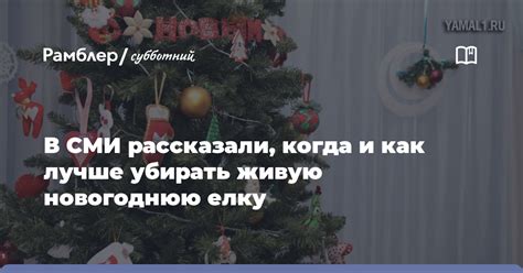 Когда и как лучше убирать