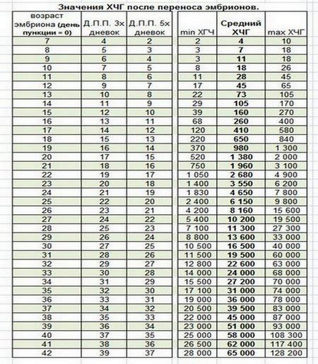 Когда лучше сдавать ХГЧ после переноса эмбрионов на 5-й день?