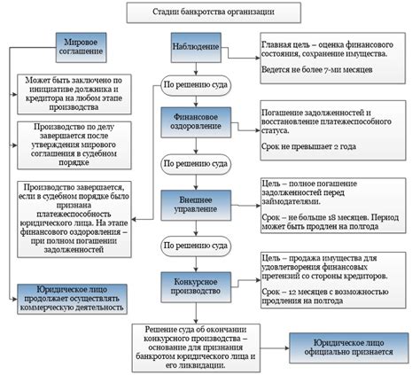 Когда начинается банкротство юридического лица: основные этапы процедуры