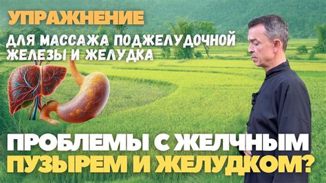 Колики и другие проблемы с желудком