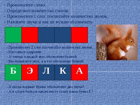 Количество звуков в слове "белка"