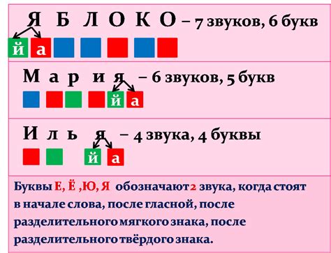 Количество звуков в слове "капель"