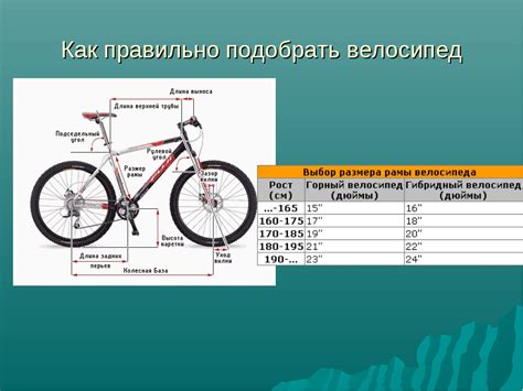 Количество спиц и аэродинамические характеристики колес велосипеда