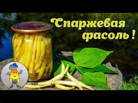 Консервация фасоли в банках и стеклянных емкостях