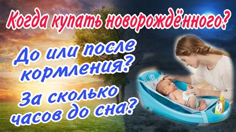 Кормление новорожденного до или после сна: