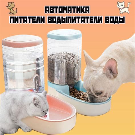 Кормушки и поилки для котят из картона