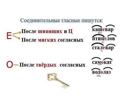 Корневые частицы в сложных и составных словах