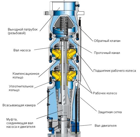 Корпус и статор глубинного насоса