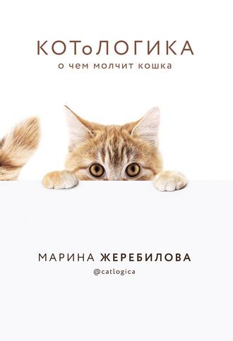 Котологика: причуды кошки Марины Жеребиловой