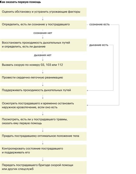 Кто может оказывать первую медицинскую помощь