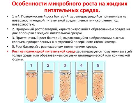 Культивирование и разведение