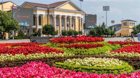 Культурные мероприятия и выставки в парке