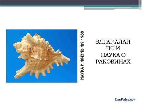 Культурные особенности повествования о глистах и дождевых раковинах во сне