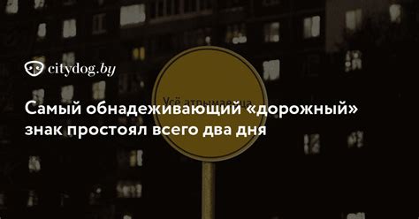 Ласкательный зверь в сновидении: предупреждение либо обнадеживающий знак?