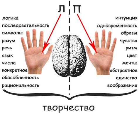 Левая рука сверху: интеллект и стратегия