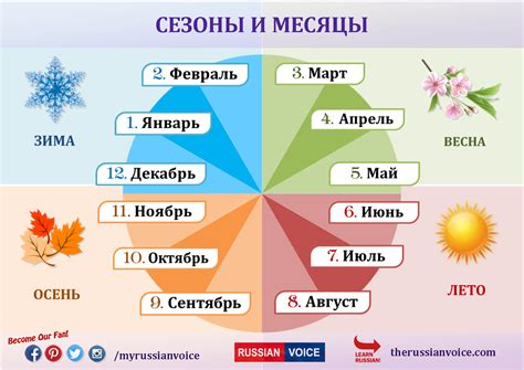 Летние месяцы