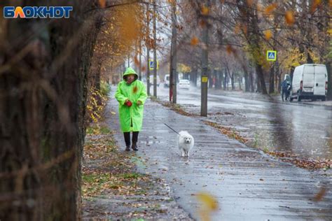 Летняя жара и возможные перепады температур