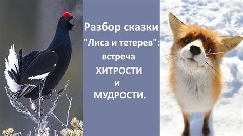 Лиса как символ хитрости и мудрости: глубокий смысл снов о игре с доверчивым созданием
