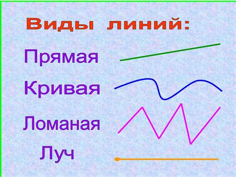 Ломаная линия: определение и особенности