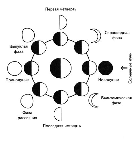 Лунные фазы