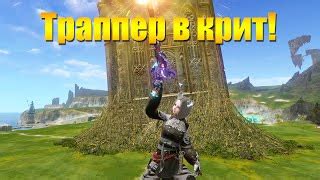 Лучший билд для Исповедника в Archeage