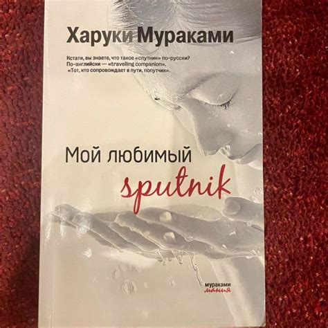 Любимый спутник или потенциальная опасность? Интерпретация снов о агрессивных собачьих повадках