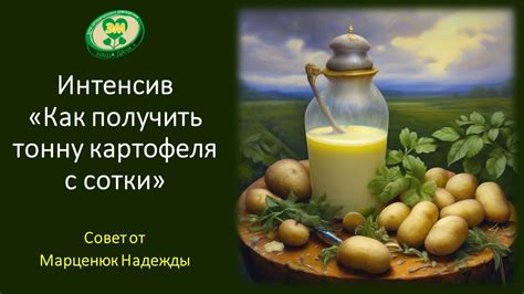 Магическое значение зеленой покрывалки картофельных кустов в мире сновидений