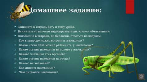 Магическое значение снов о живом роеный насекомых: каково их влияние на вашу жизнь?