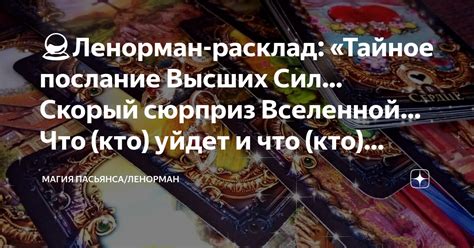 Магия снов: тайное послание опоссума для несвязанной дамы