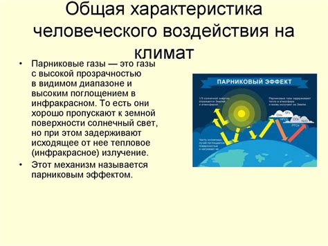 Майский климат и его воздействие на зачатие