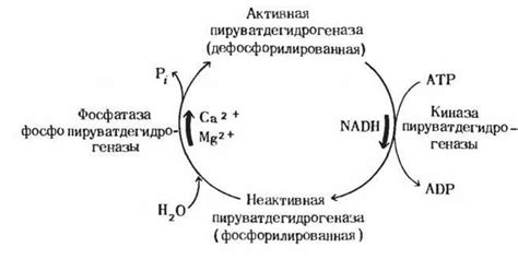 Максимальная допустимая концентрация лимонной кислоты