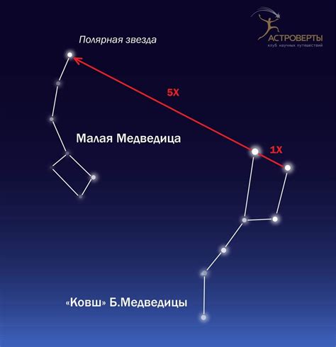 Малая медведица: идеальное время для наблюдения