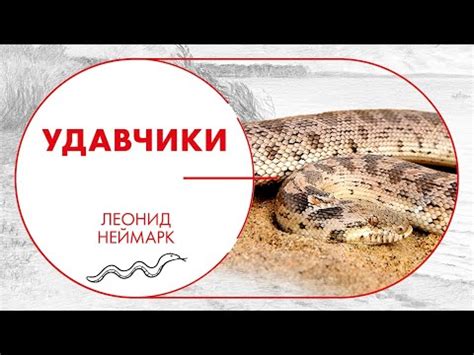 Маленькие удавы в лазури водной глади: подоплека и значимость ночных видений