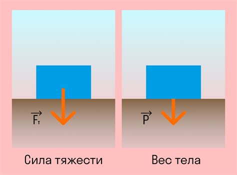 Масса и вес тела: основные понятия