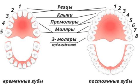 Медицинские факторы, связанные с выпадением зубов без наличия крови