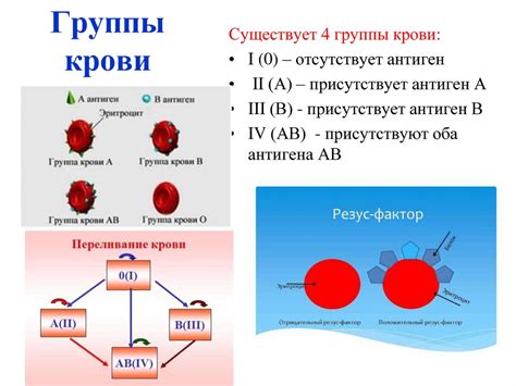 Медицинское значение группы крови