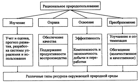 Международное сотрудничество в области охраны реки Амур