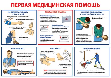 Меры первой помощи